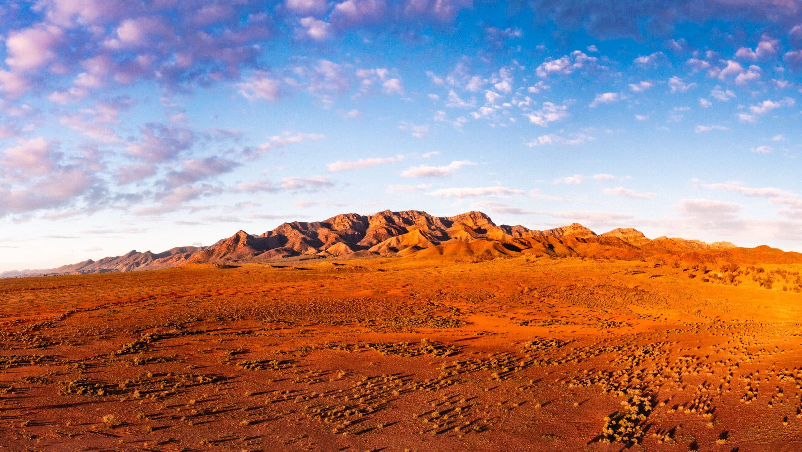 Flinders Ranges, SA